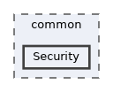 common/Security